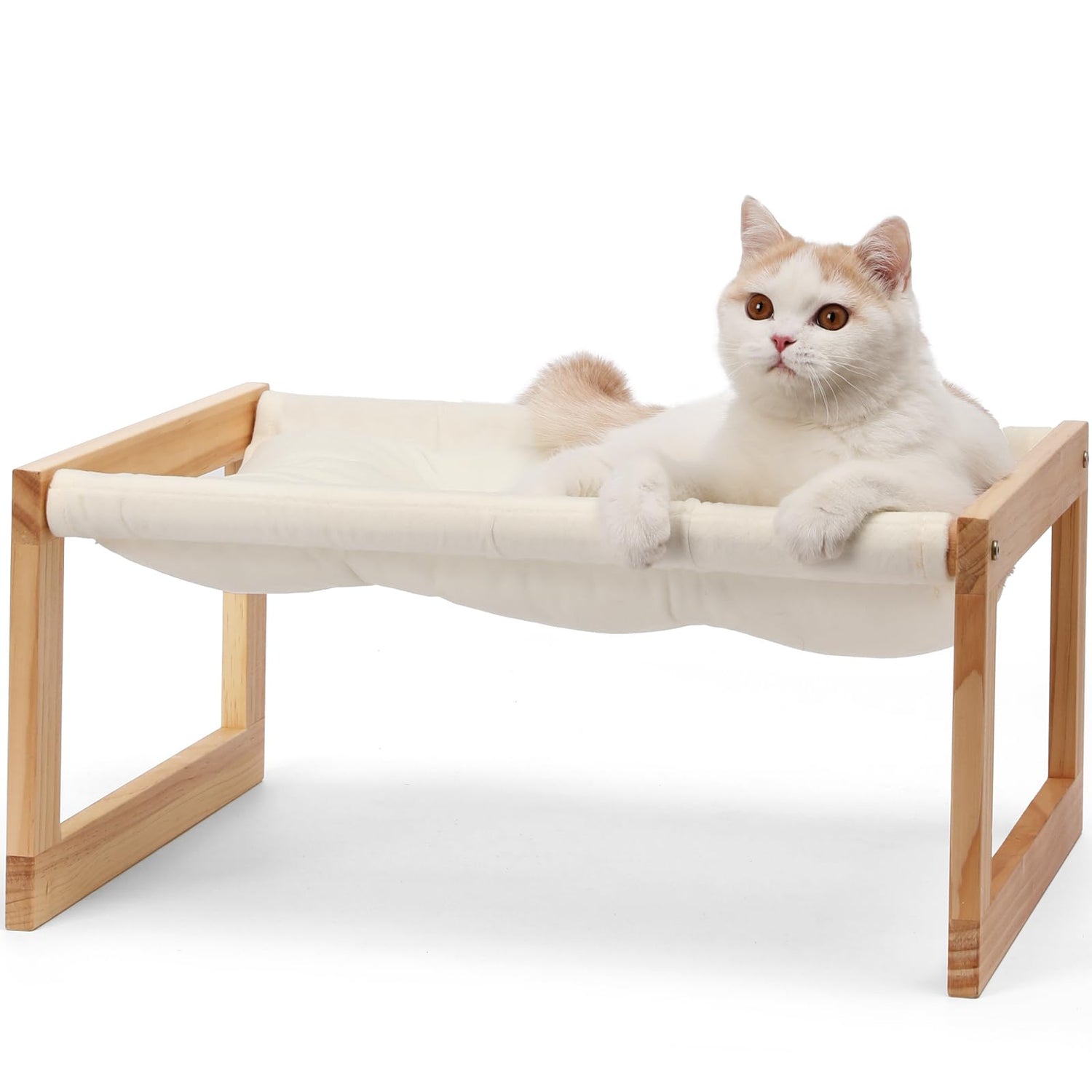 Cat Beds