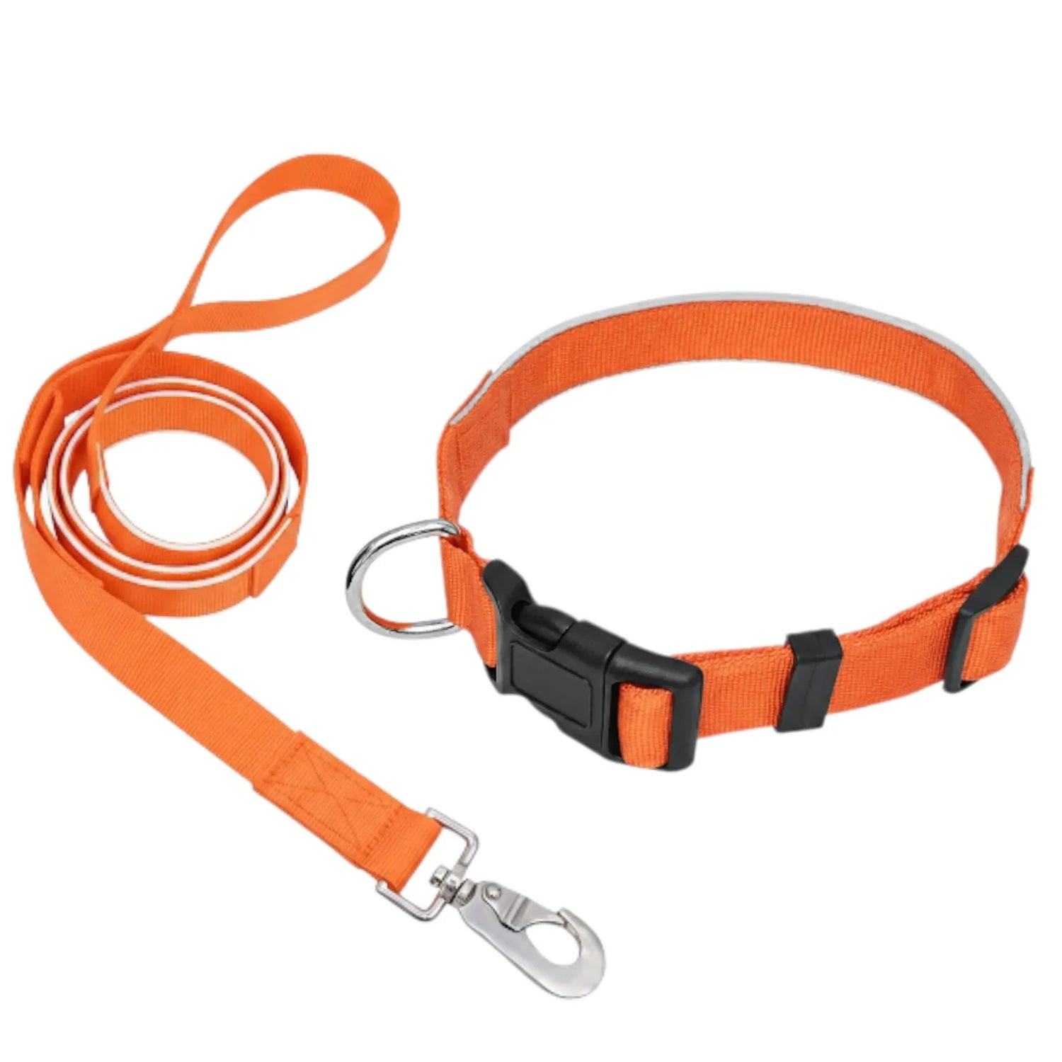 Collars and Leashes