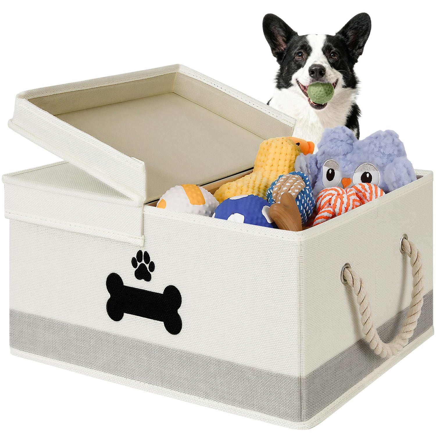 Pet Toys