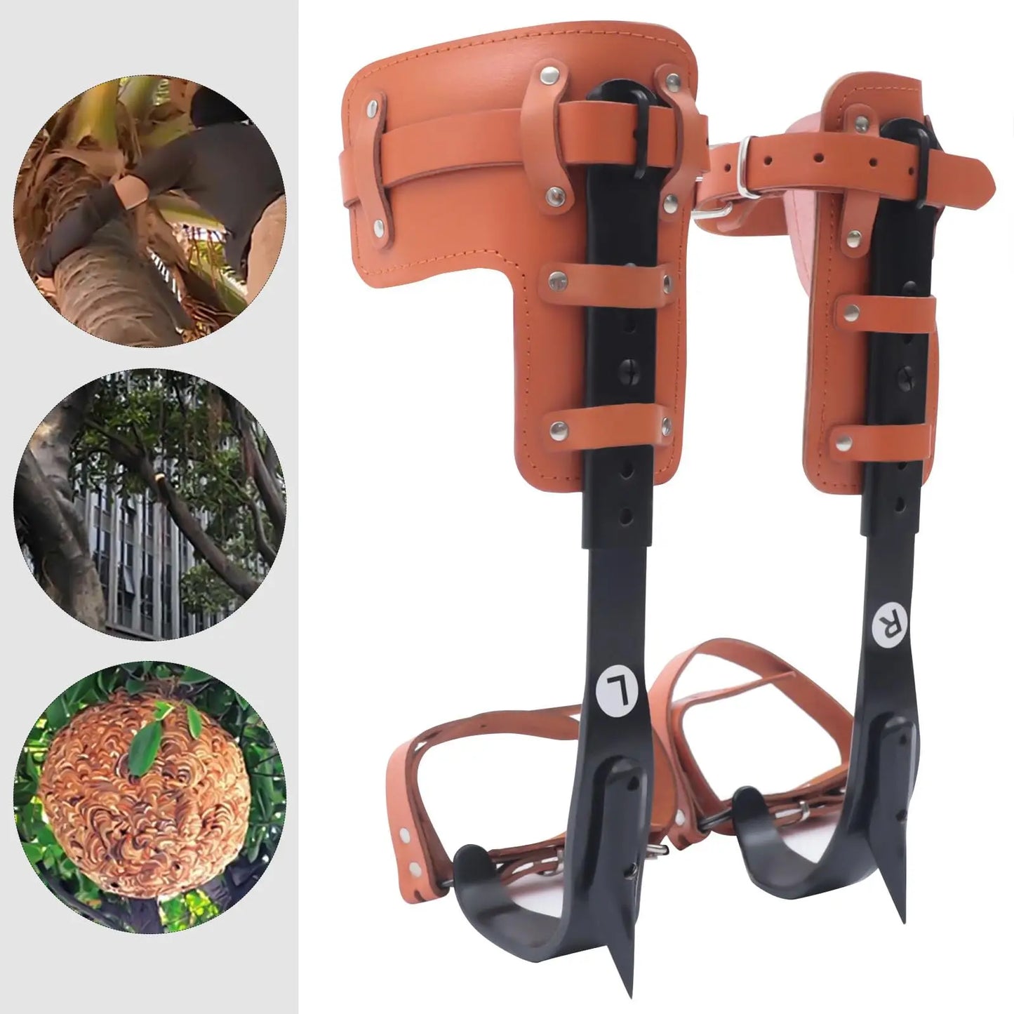 Tree Climbing Spike Set， Pole Climbing Spurs Steel， Adjustable Climber Gaffs Spikes Set Height Adjustable ,Tree Climbing Gear Po
