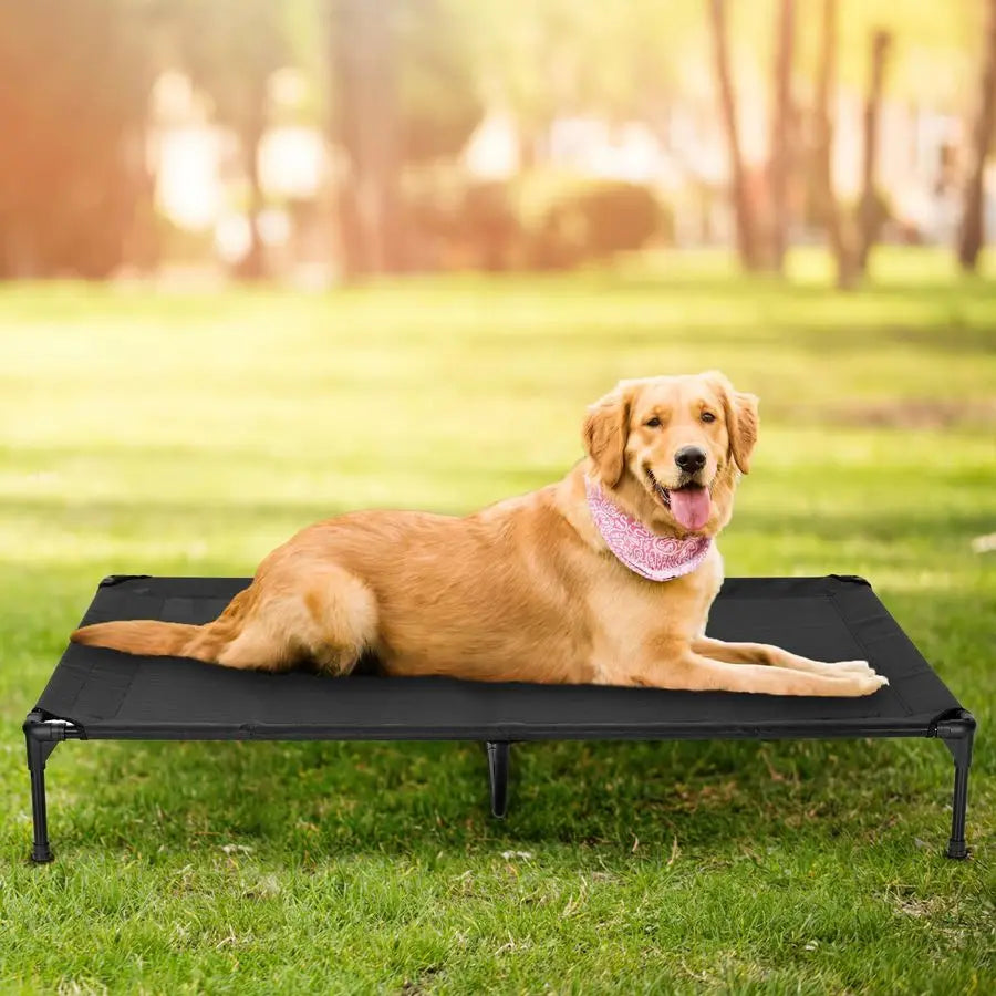 Dog Bed for Outdoor, Large Raised Dog Cot with Washable Mesh, Cooling Pet Cot Chew Proof for Outside Camping, 42x30 Black